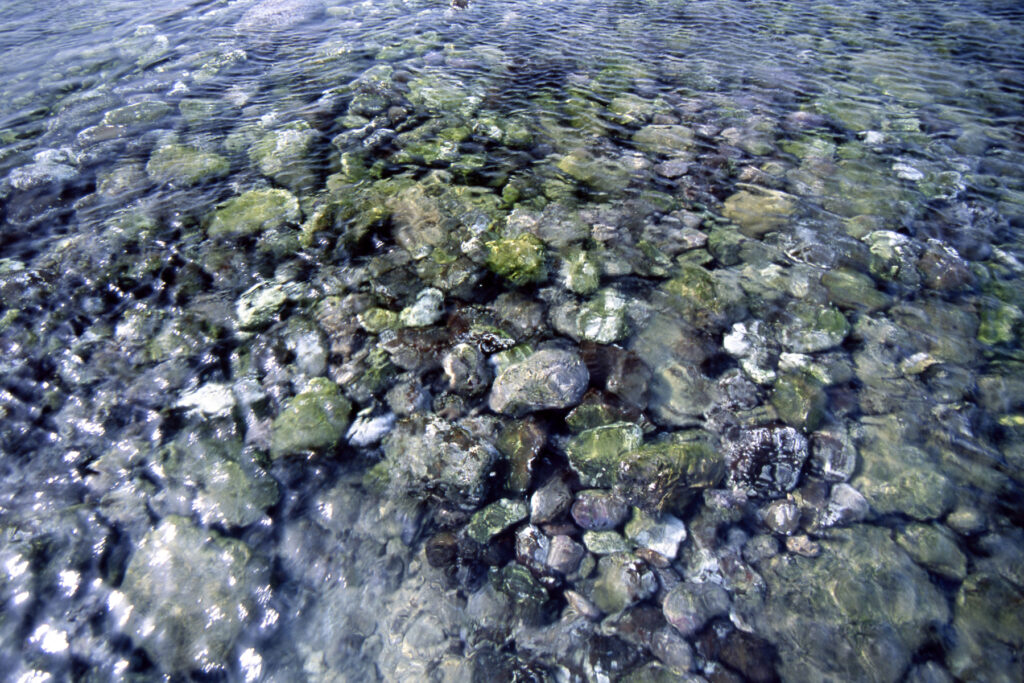 Captured at Manazuru Peninsula（2011）