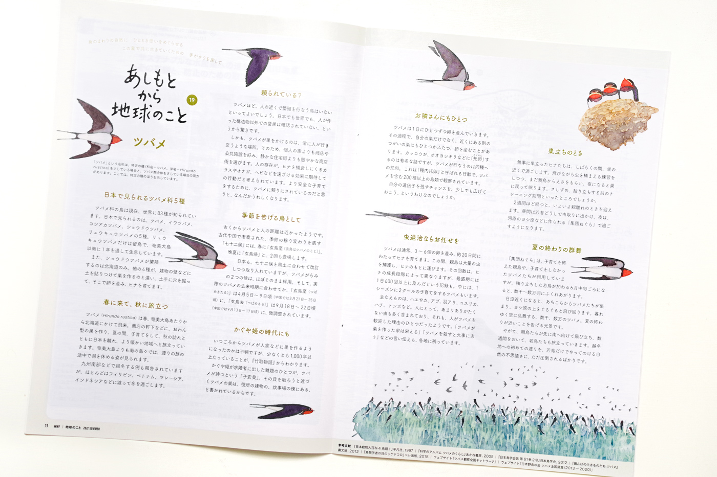 wwf japan chikyunokoto contents