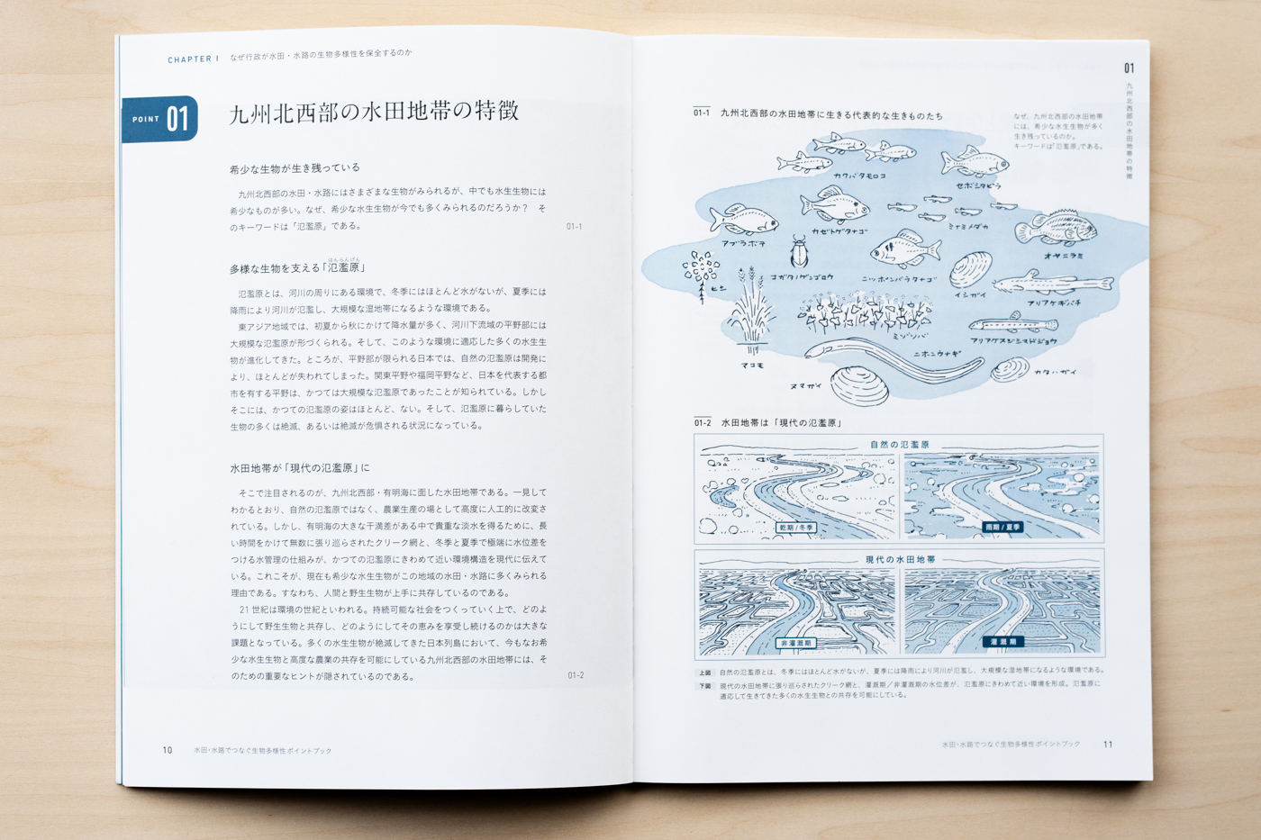suiden suiro point book inside