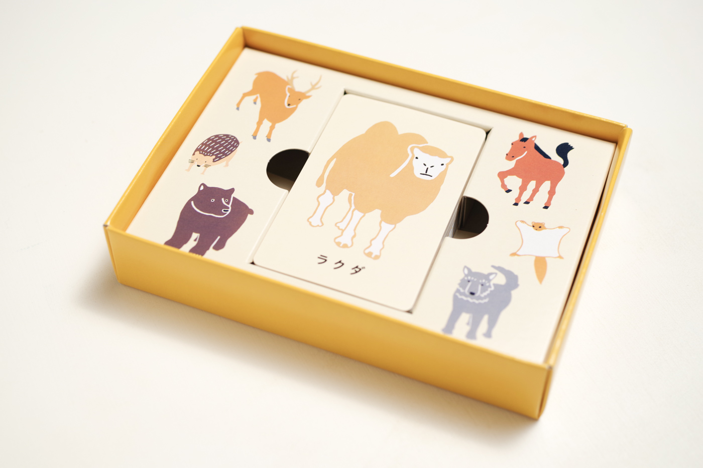 animal illustration