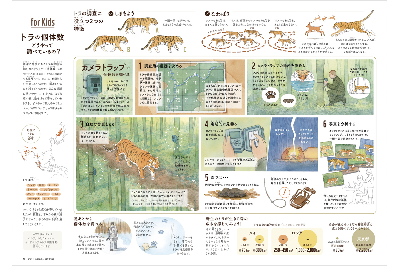 Dsign and Illustration for children
