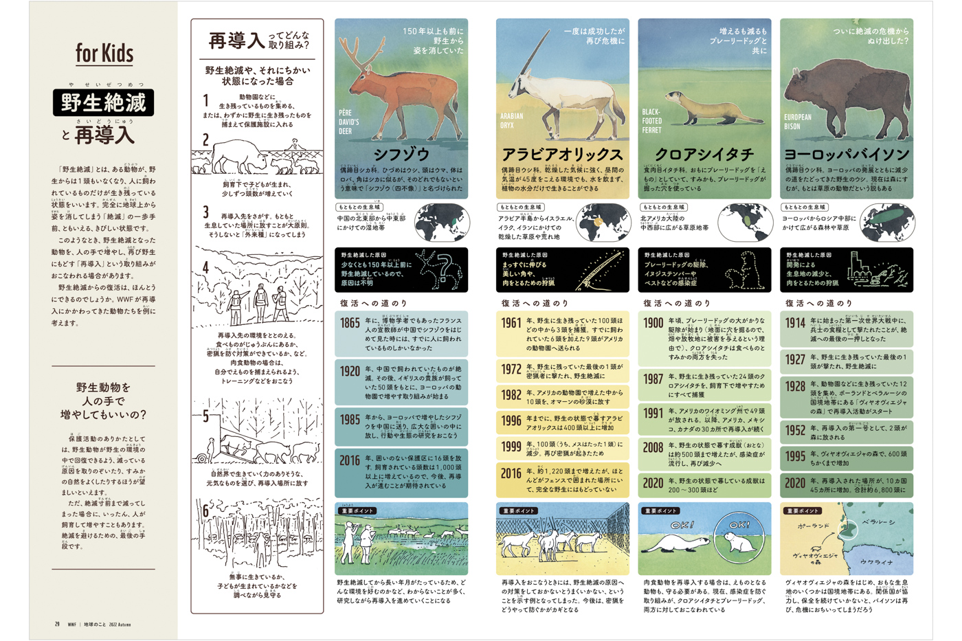 Dsign and Illustration for children