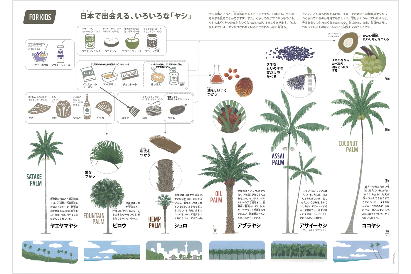 Dsign and Illustration for children
