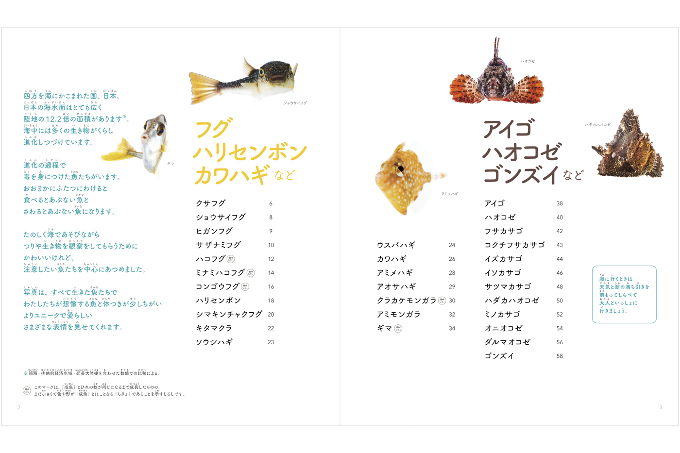 yukaina sakana tachi picture book