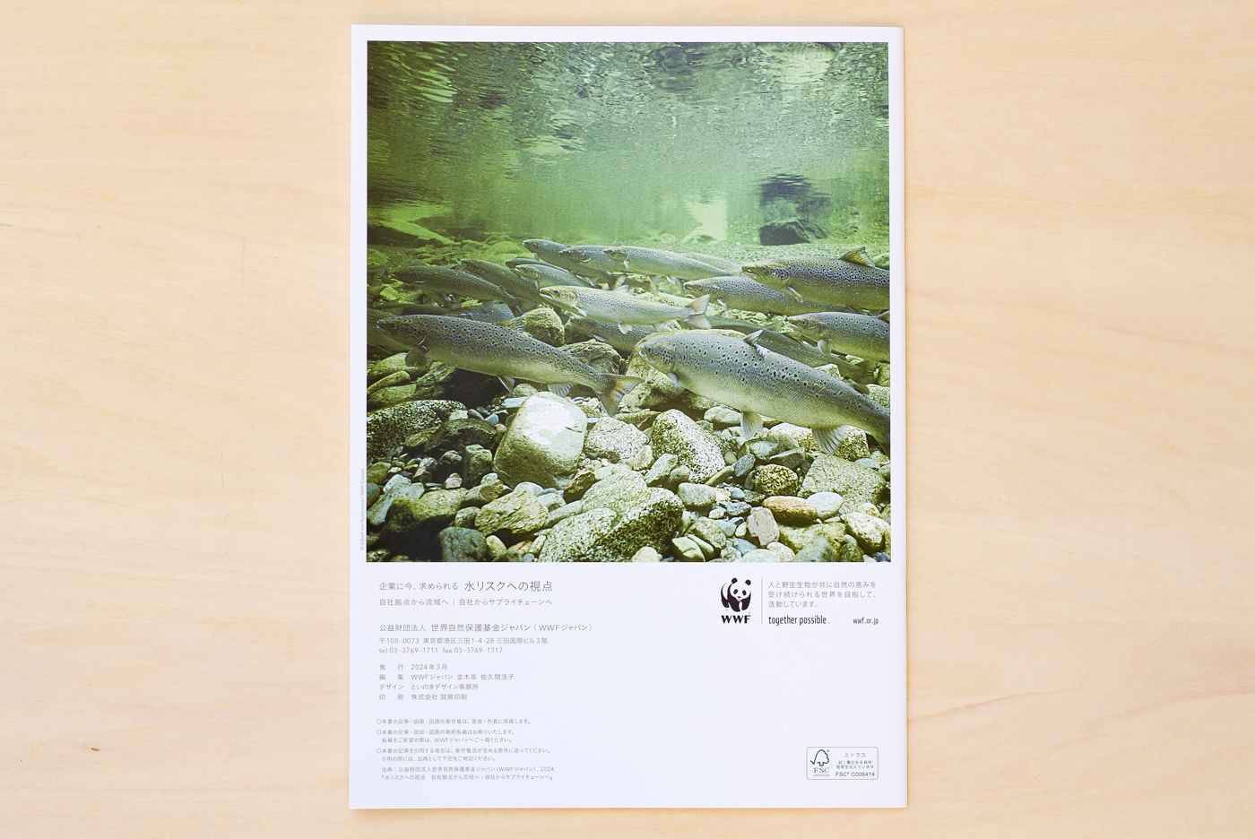 water risk panflet back